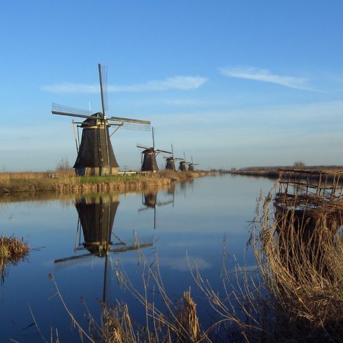 Historic windmills lining the canals of Kinderdijk in the Netherlands Historic windmills lining the canals of Kinderdijk in the Netherlands