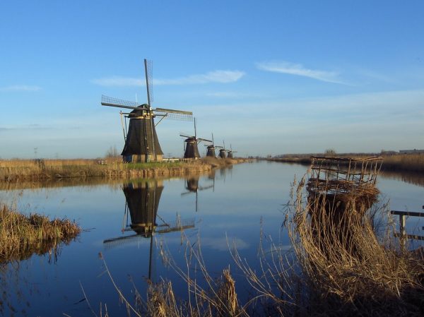 Historic windmills lining the canals of Kinderdijk in the Netherlands