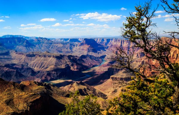 The layered cliffs of the Grand Canyon at sunset in Arizona The layered cliffs of the Grand Canyon at sunset in Arizona